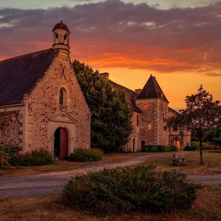 Manoir De Jouralem Bed & Breakfast Blaison Ngoại thất bức ảnh