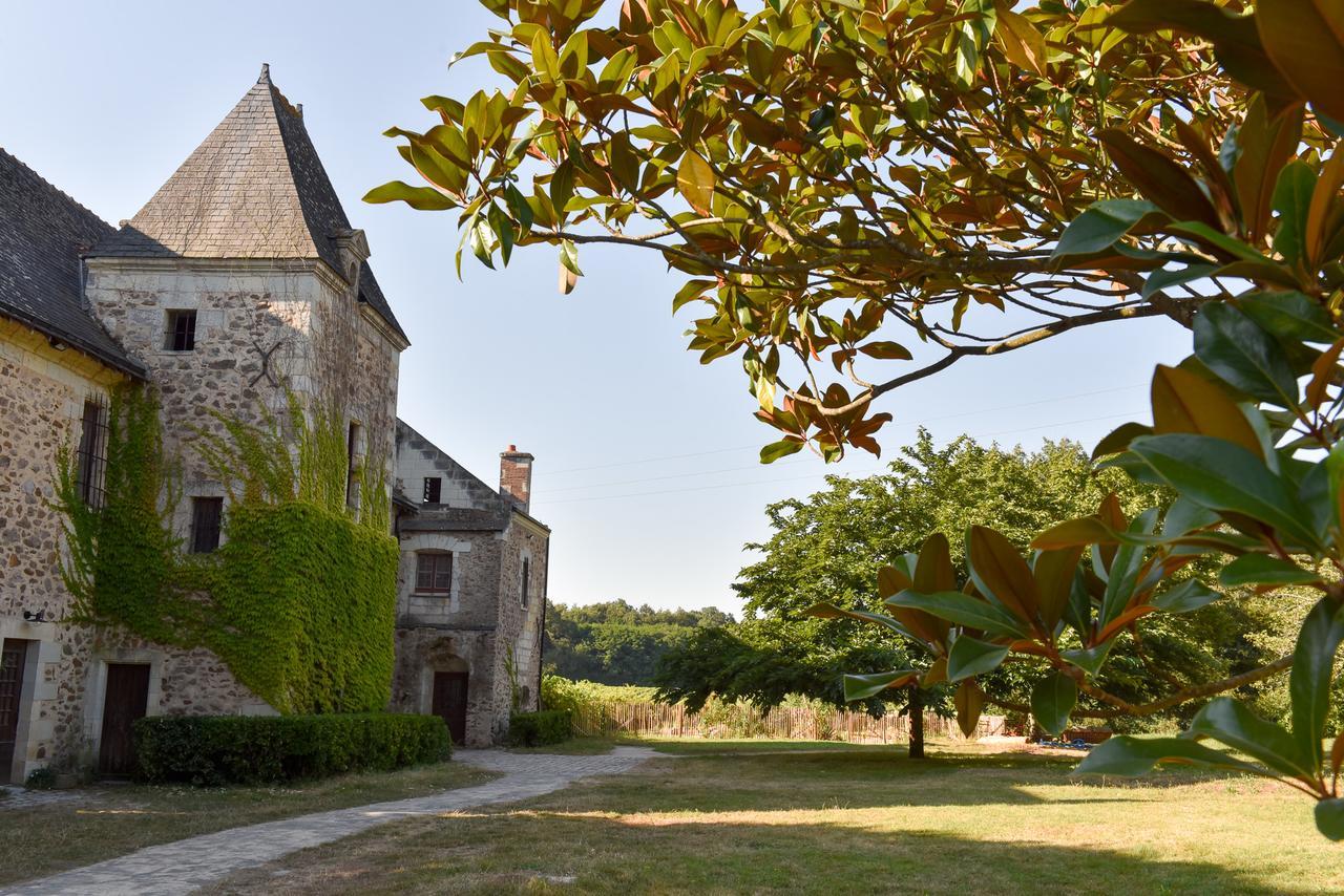 Manoir De Jouralem Bed & Breakfast Blaison Ngoại thất bức ảnh
